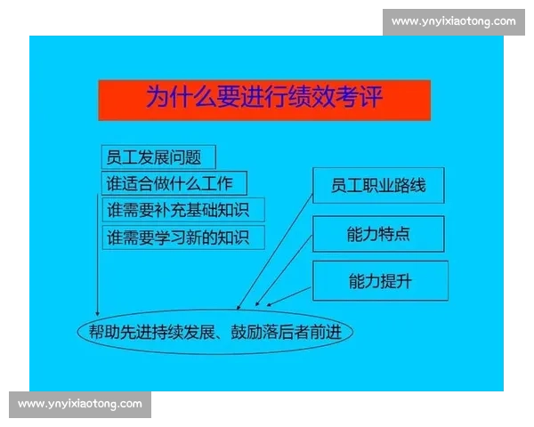 以绩效考核为核心推动企业管理效能提升与员工能力发展