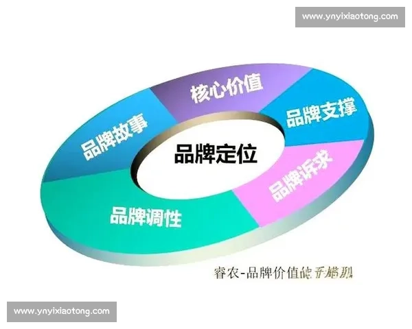 打造品牌影响力,提升市场竞争力的全方位推广策略与实战技巧 打造品牌影响力,提升市场竞争力的全方位推广策略与实战技巧